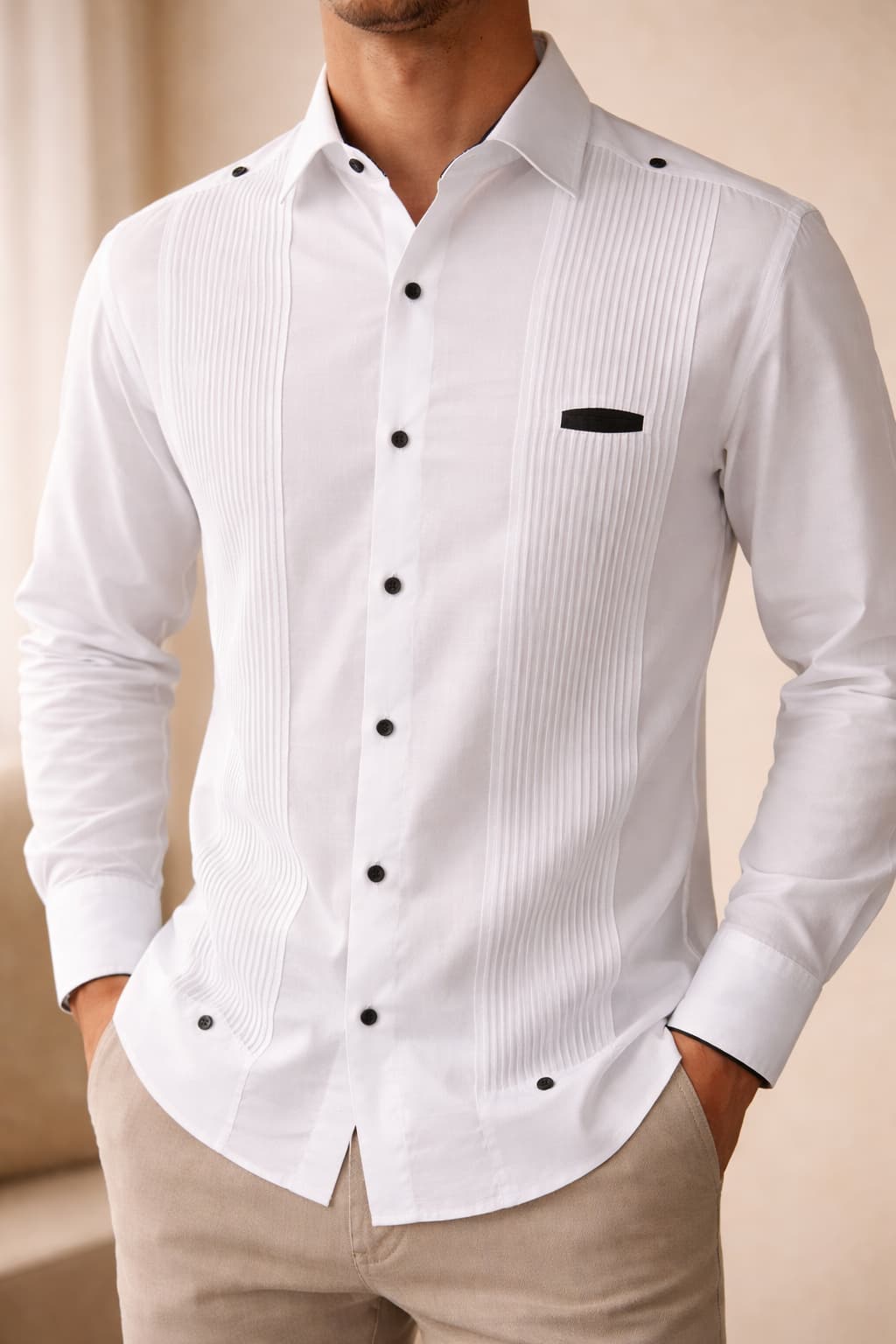 Modelo Presidencial Enrique